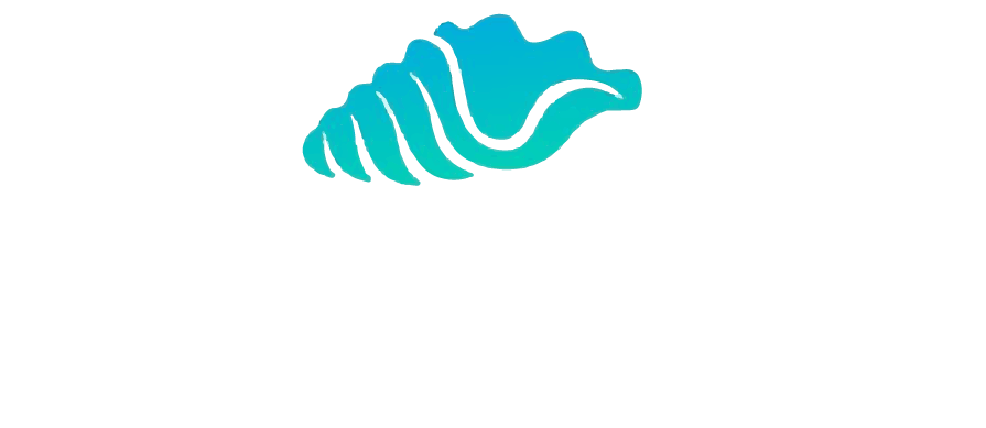 SeeShell Consulting